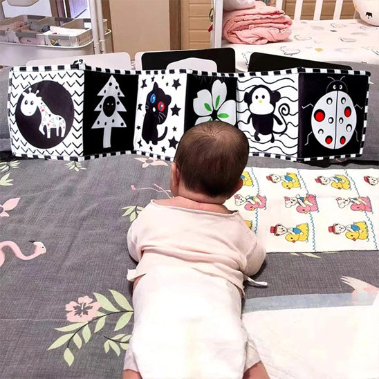 bébé regarde livre noir et blanc bébé coccinelle